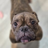 Smidge - Photo 3