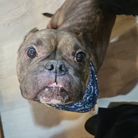 Smidge - Photo 2