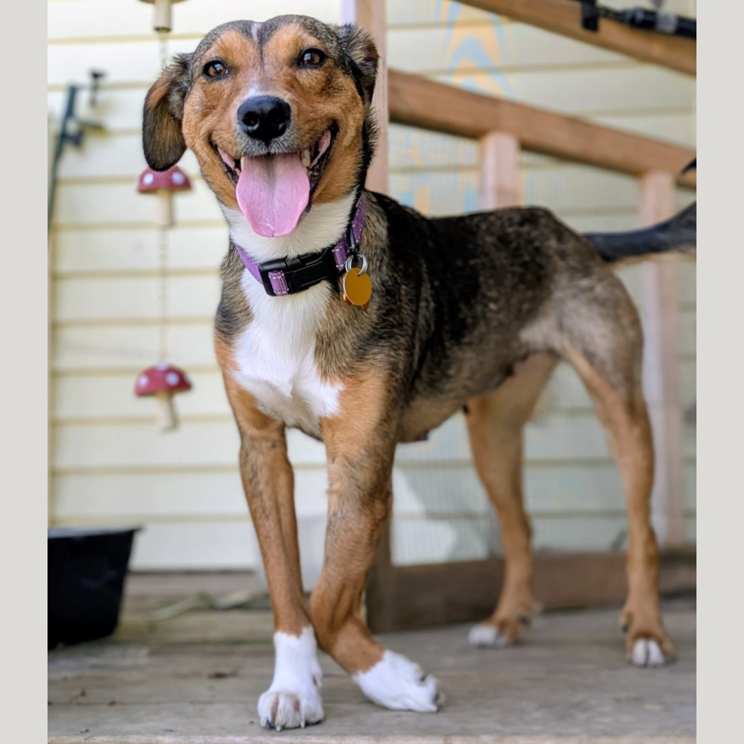 Kara Zor-El - Photo 4