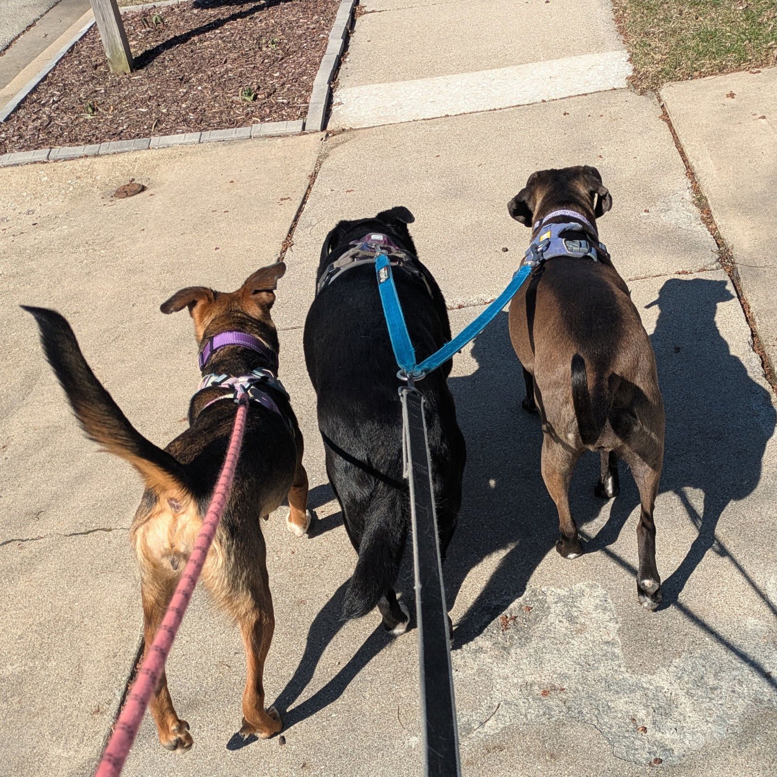 Kara Zor-El - Photo 5