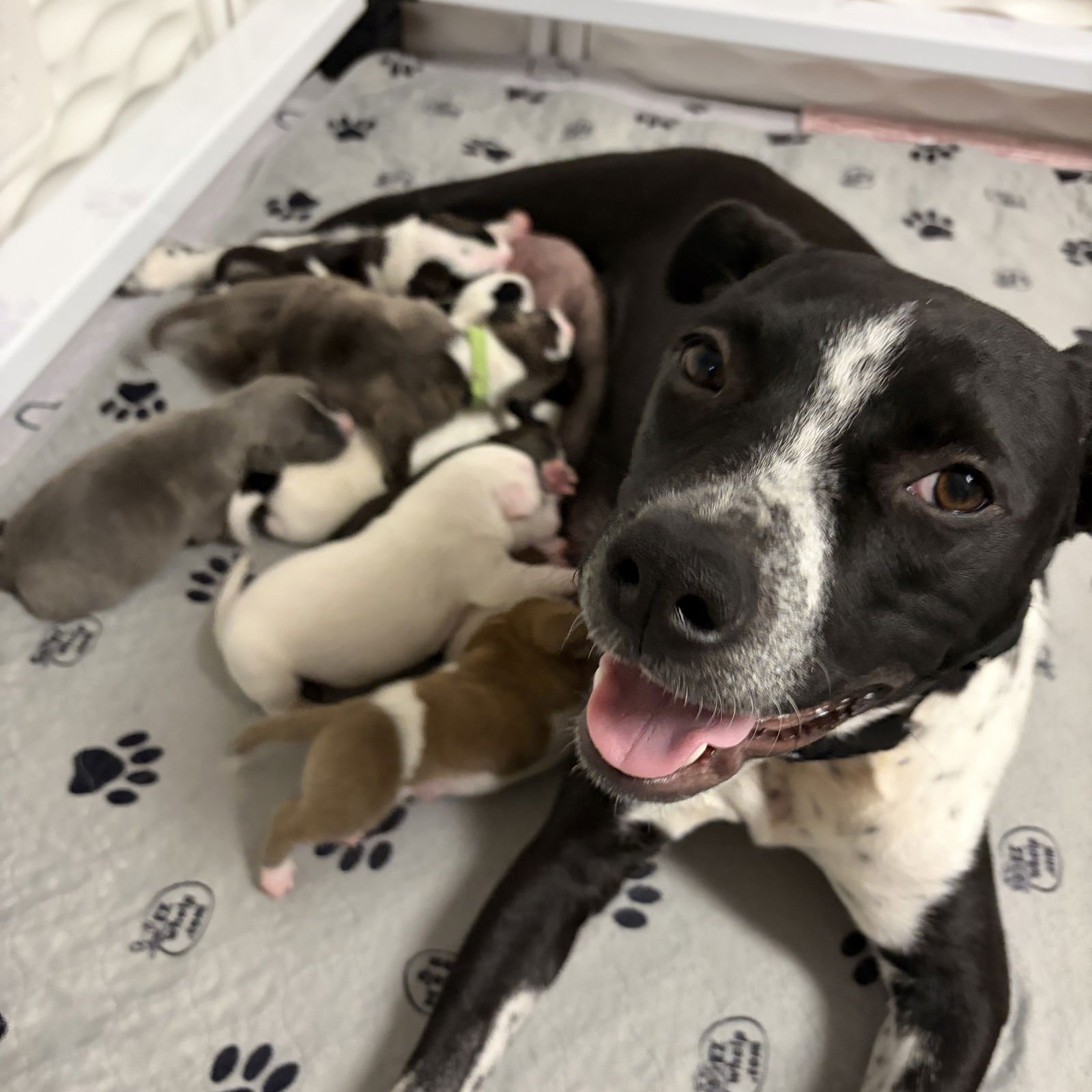 Coffee Bean - Photo 3