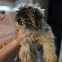 Dudley Duddles - Photo 7
