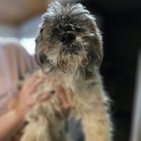 Dudley Duddles - Photo 6