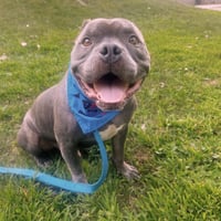 Blue - Photo 3