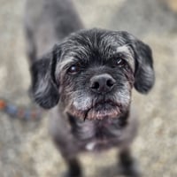 Clark - Photo 4