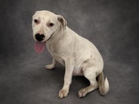 CASPER - Photo 1