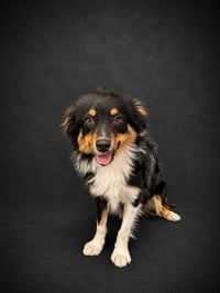 A1267415 - Photo 1