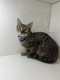A1278155 - Photo 1