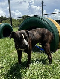 TUCKER - Photo 1