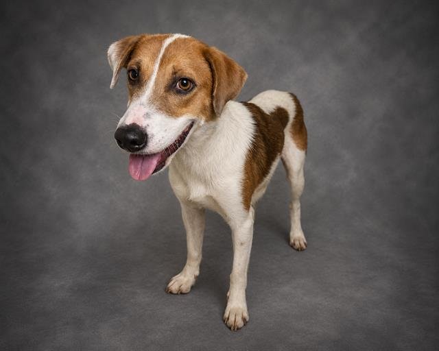 MARIA Image