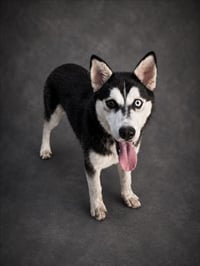 MIRA - Photo 1
