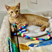 Gina (Adopted!) - Photo 2