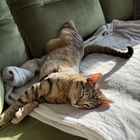Champ - Photo 3