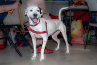 Nellie - Photo 3