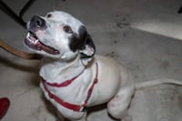 Nellie - Photo 5