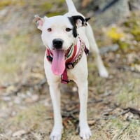 Nellie - Photo 4