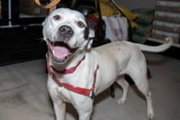 Nellie - Photo 6