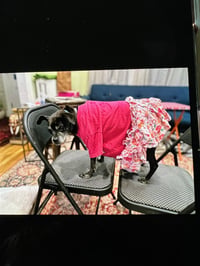 Gigi - Photo 4