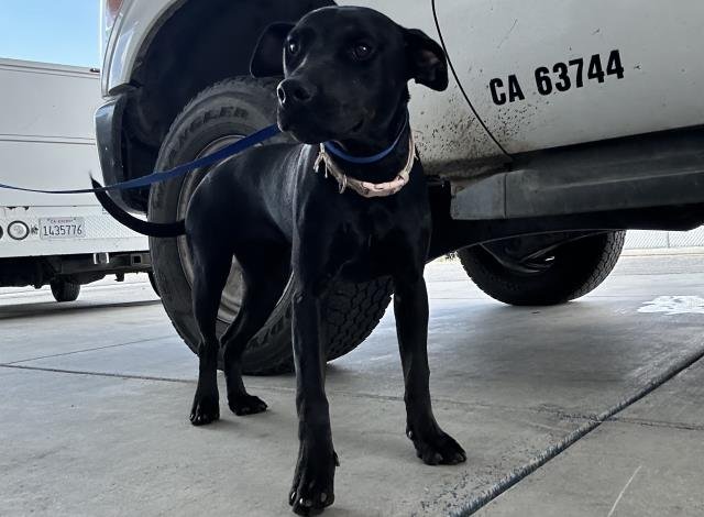 *LUCY Image