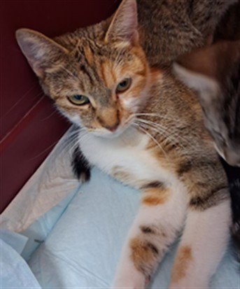 *AZURE Image