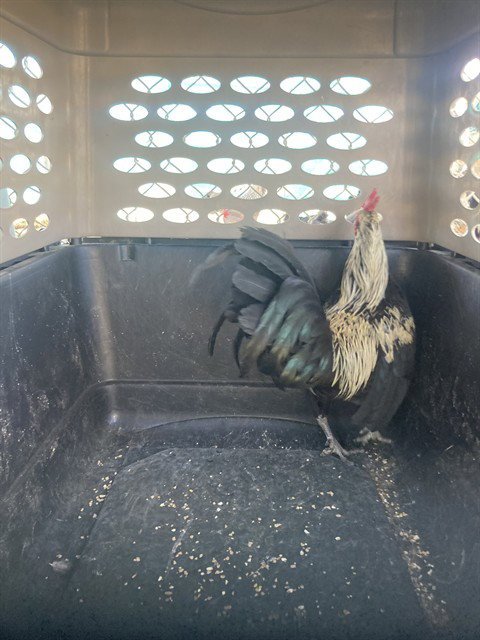 A1252560