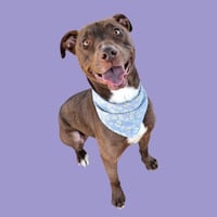 HERA - Photo 1