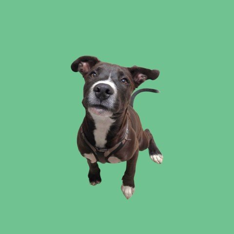 *CISCO Image