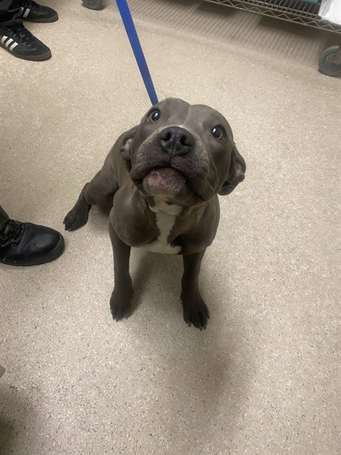 *FIONA Image