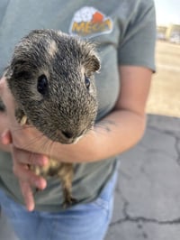 A1258824 - Photo 1