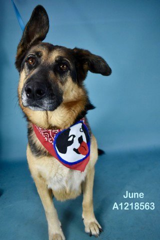 *JUNE Image