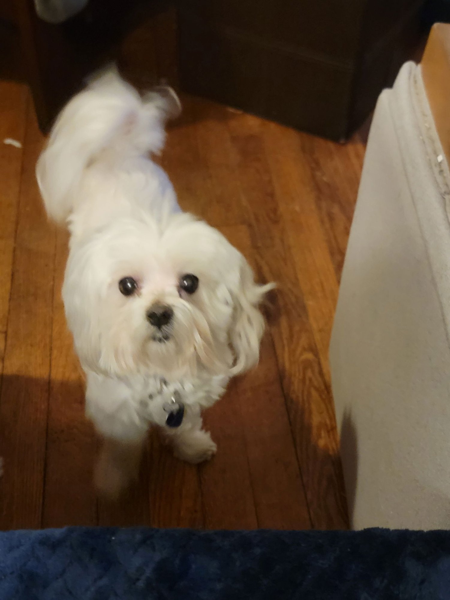 Sophie (Video) - Photo 4