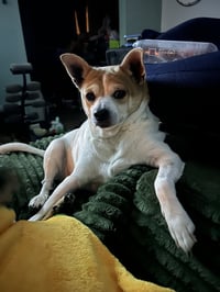 Bruiser - Photo 4