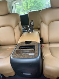 Puppy Pineapple - Photo 2