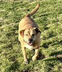 Winifred "Winnie" - Photo 3