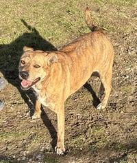 Winifred "Winnie" - Photo 5