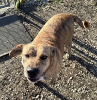 Winifred "Winnie" - Photo 4