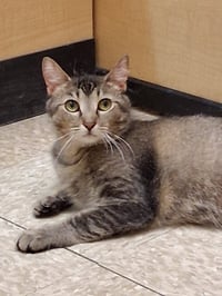Wanda Wiggles @ Medina Petsmart - Photo 2