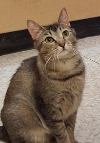 Wanda Wiggles @ Medina Petsmart - Photo 3