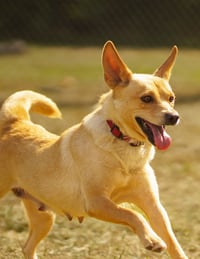 Bonnie - Photo 3