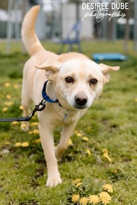Bonnie - Photo 2