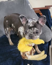 Greta (Video) - Photo 4