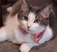 Peggy Peaches (Has video!) - Photo 1