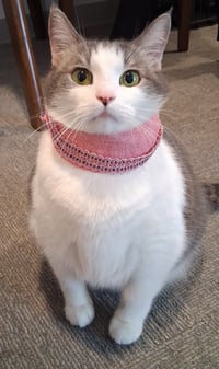 Peggy Peaches (Has video!) - Photo 2