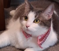 Peggy Peaches (Has video!) - Photo 4
