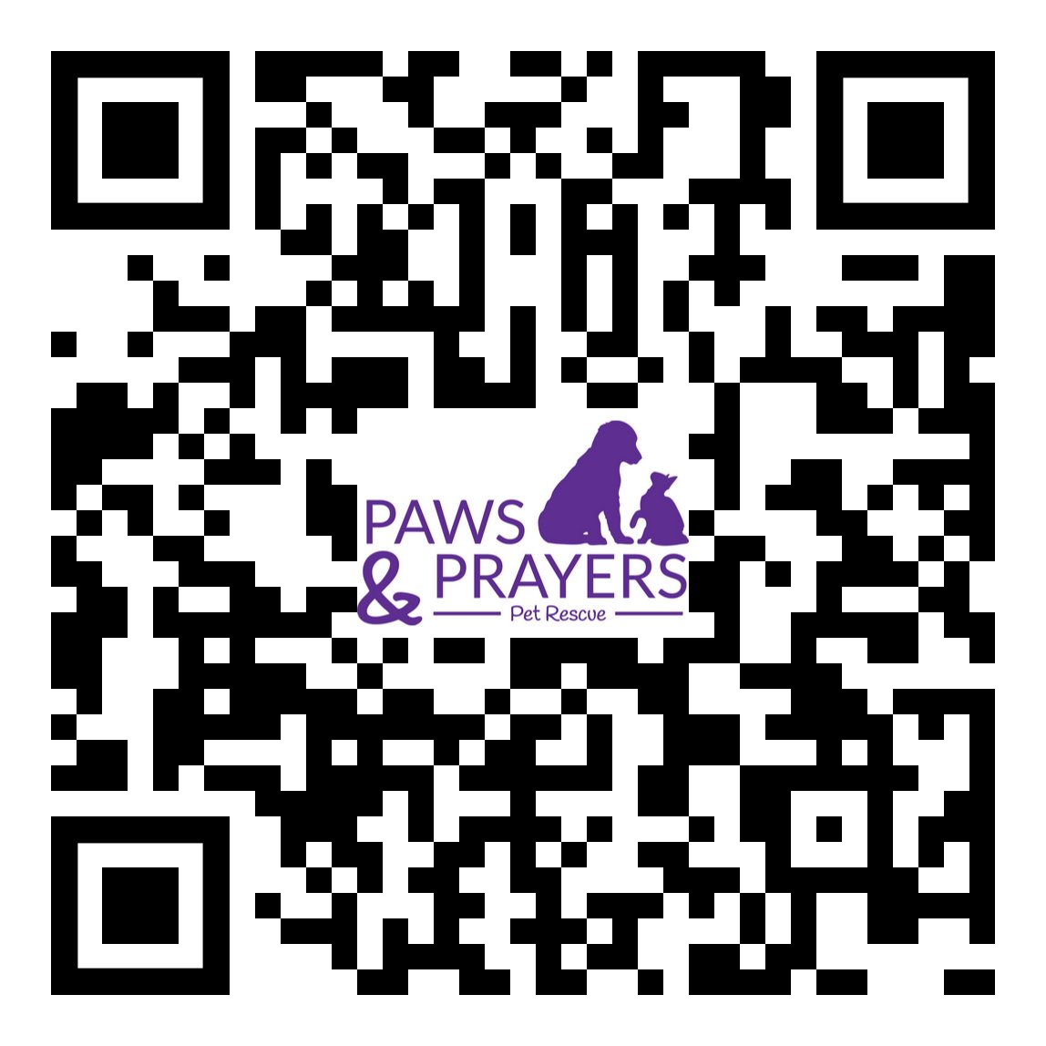 Mellow (has a video!!) - Photo 3