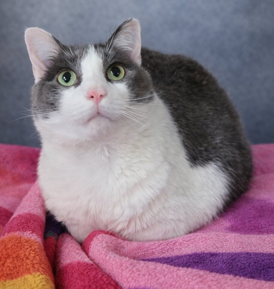 Jimmy Neutron - Photo 3