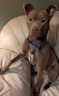 Adorable Maisy - Photo 2