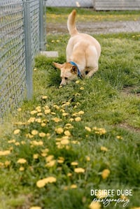 Bonnie - Photo 2