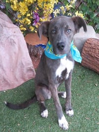 REGGIE - Photo 1