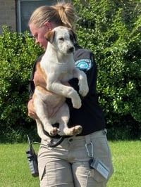 HEIDI - Photo 1